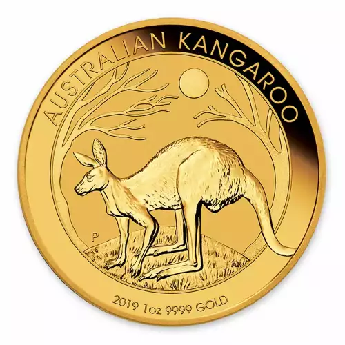2019 1oz Australian Perth Mint Gold Kangaroo (3)