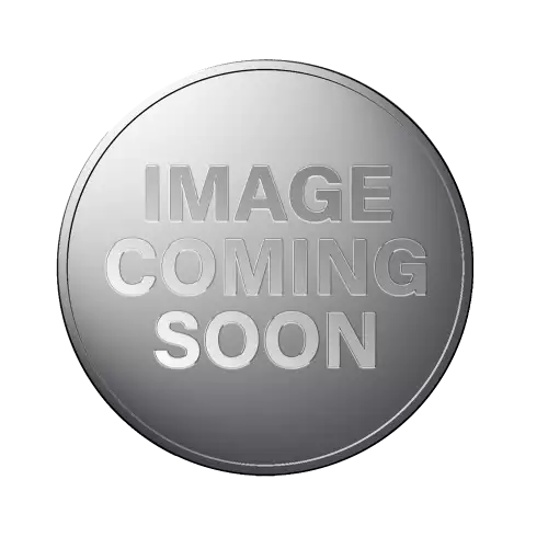 1992 1/10oz Canadian Platinum Maple Leaf